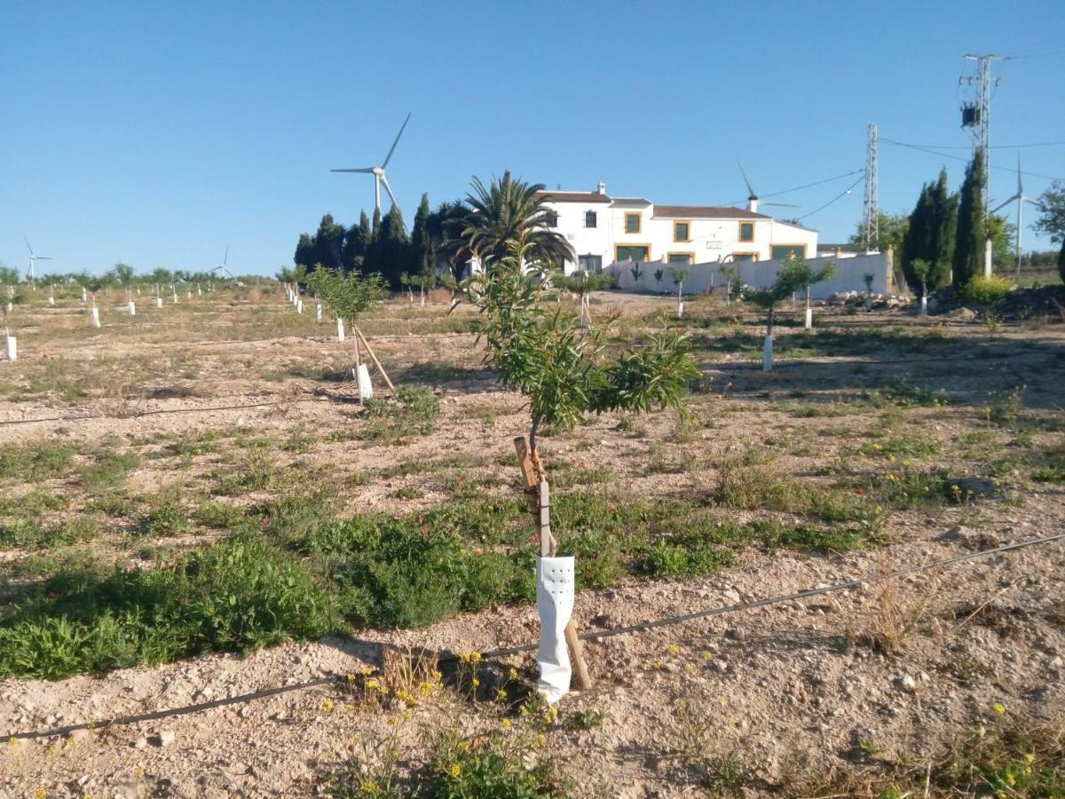 Rural El Oregano Country house